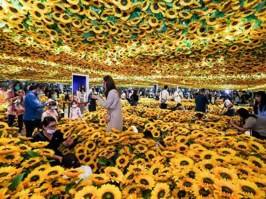 北京“梵高再现Van Gogh Alive”沉浸式光影展