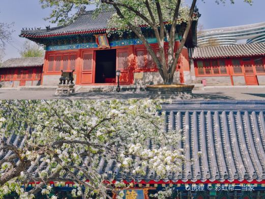 北京智化寺
