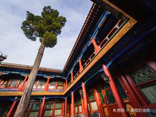 北京后罩楼