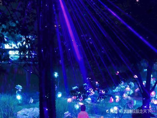 北京玉渊潭公园樱珞花谷区域