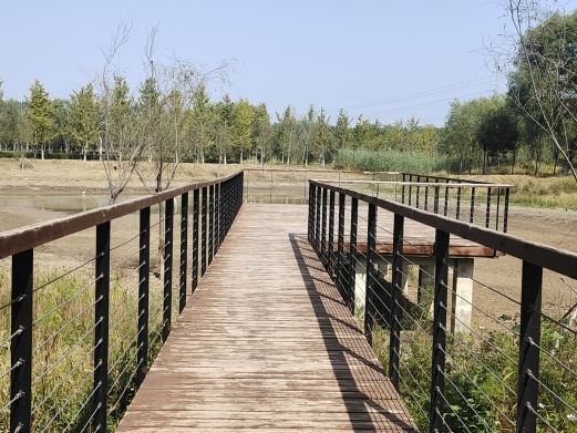 北京马驹桥湿地公园