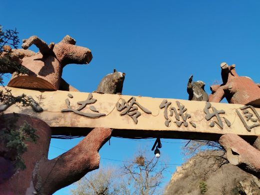北京八达岭熊乐园