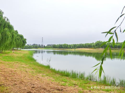 北京昌平新城滨河森林公园