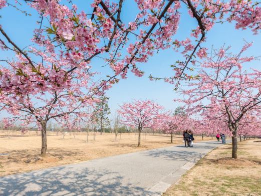 上海辰山植物园