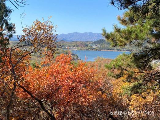 北京大石山森林公园