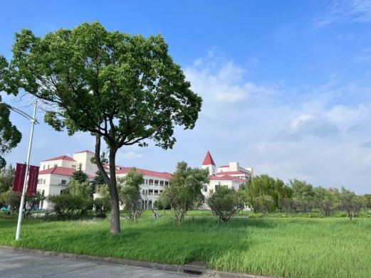 上海师范大学(奉贤校区)-樱花园