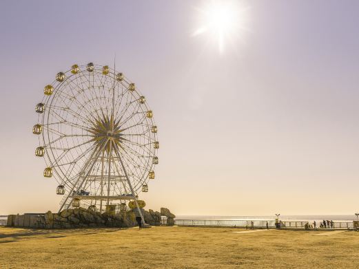 上海奉贤海滩