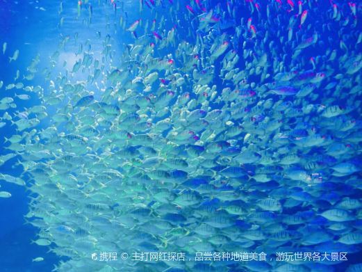 重庆海底世界