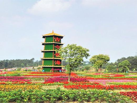 重庆古今花海