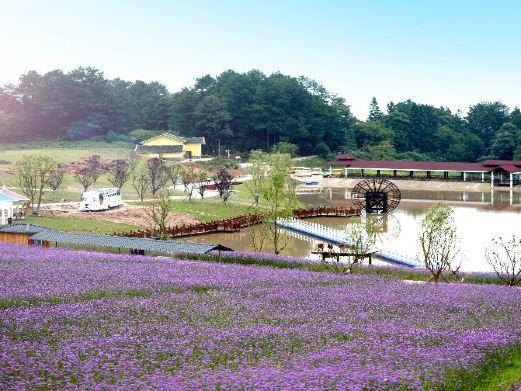 重庆横山花仙谷
