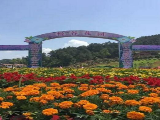 重庆慢谷森林花园