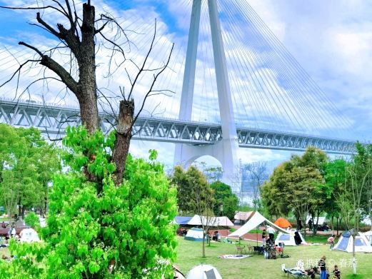 重庆巴滨路湿地公园