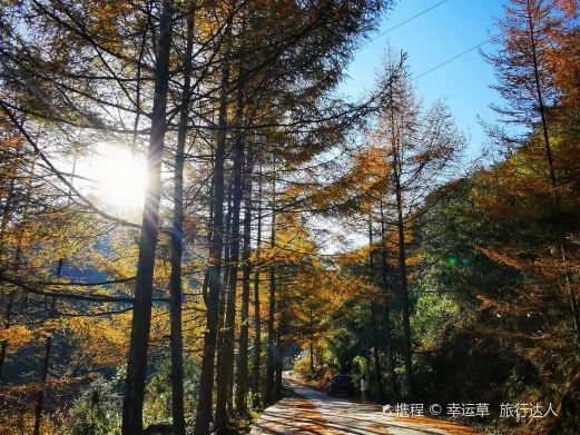 重庆雪宝山国家森林公园