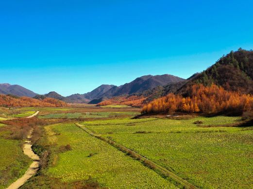 巫溪红池坝高山草场