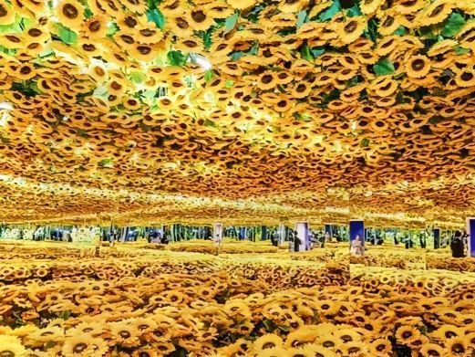 重庆梵高星空艺术馆(解放碑大融城店)