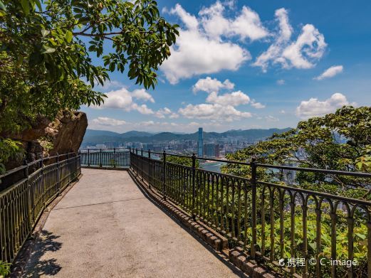 香港山顶夏力道和卢吉道环回步行径