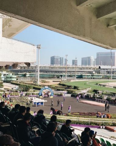 澳门赛马会娱乐场