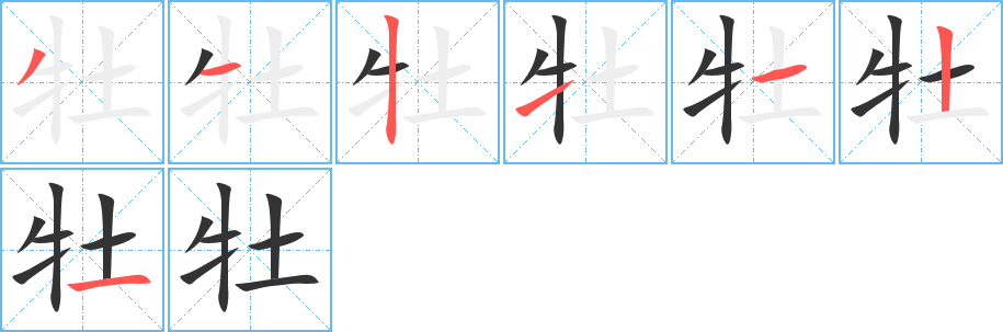 牡字的笔画顺序