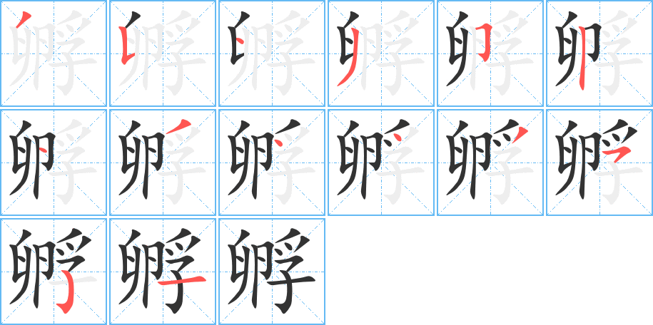 孵字的笔画顺序