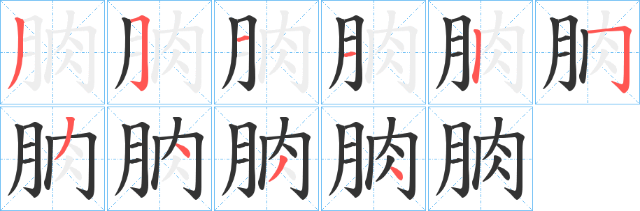 朒字的笔画顺序