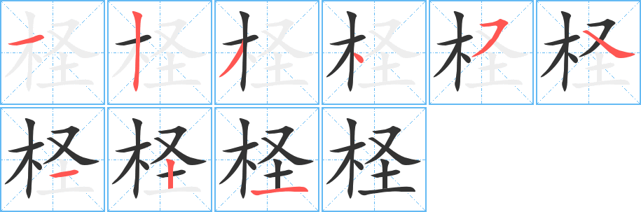 柽字的笔画顺序