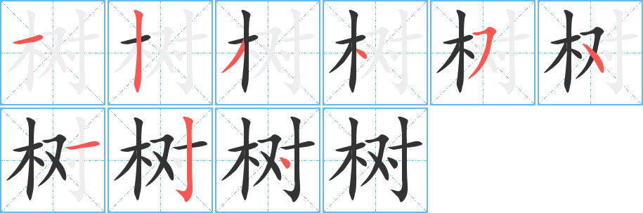 树字的笔画顺序