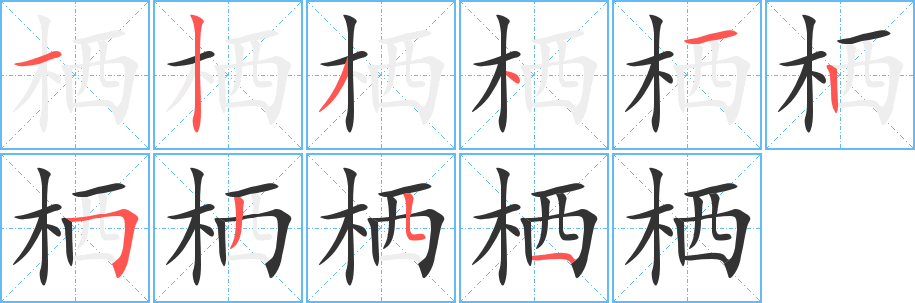 栖字的笔画顺序