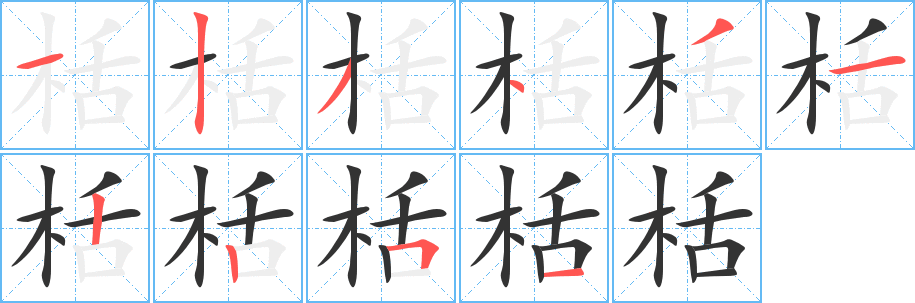 栝字的笔画顺序