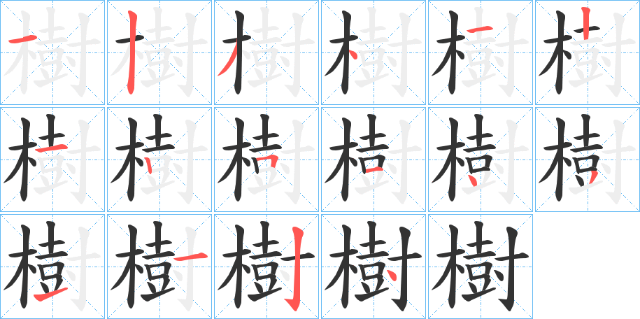 樹字的笔画顺序