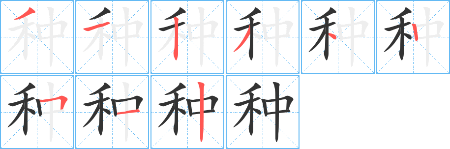 种字的笔画顺序