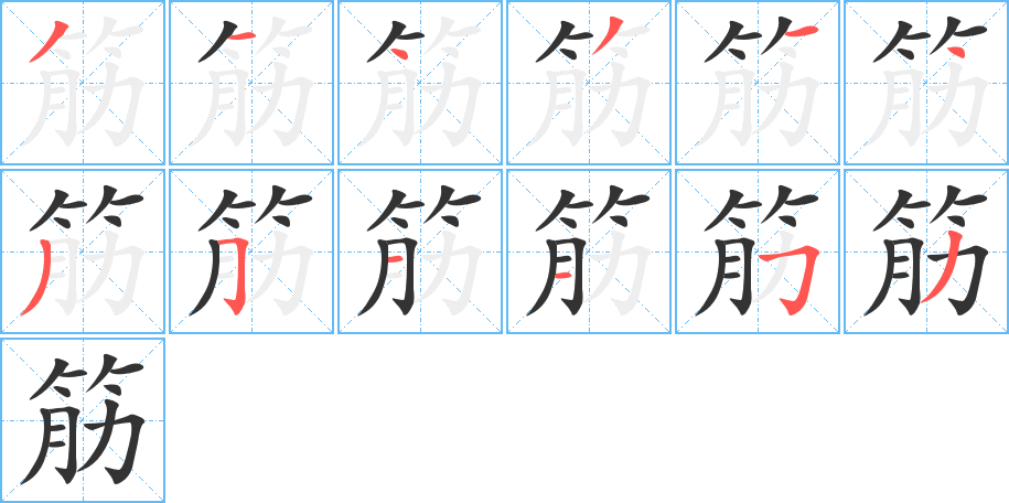 筋字的笔画顺序