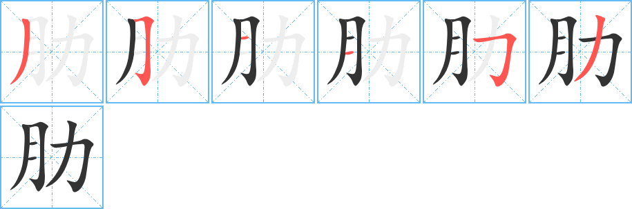 肋字的笔画顺序
