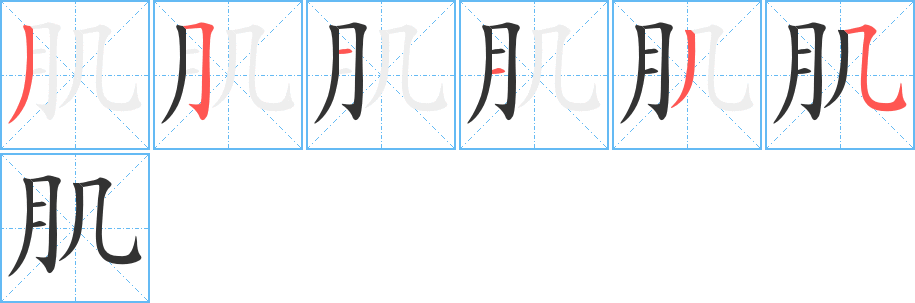 肌字的笔画顺序