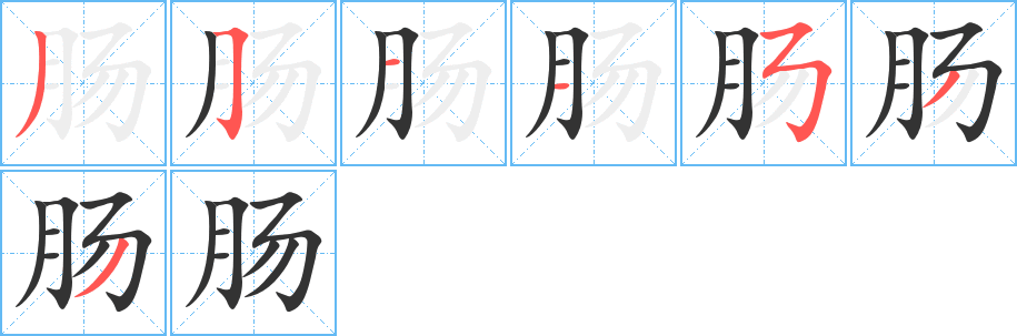 肠字的笔画顺序