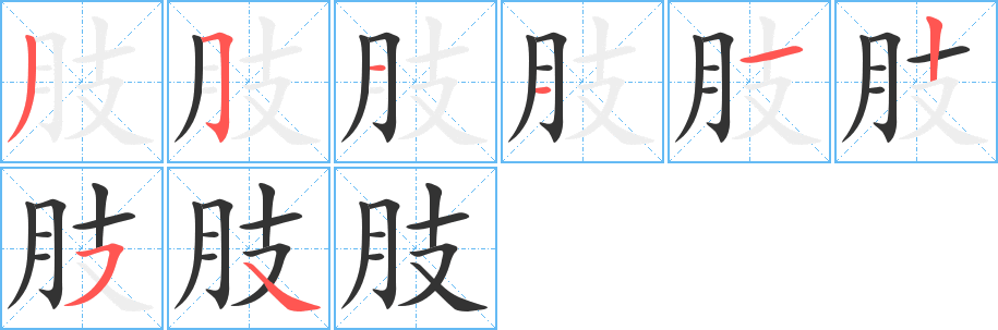 肢字的笔画顺序