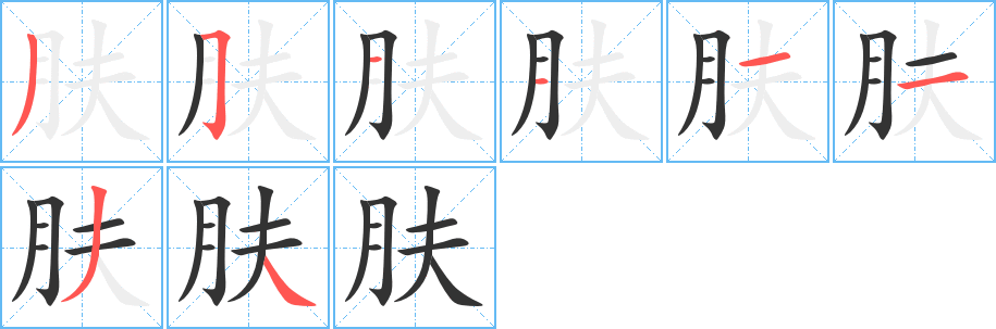 肤字的笔画顺序