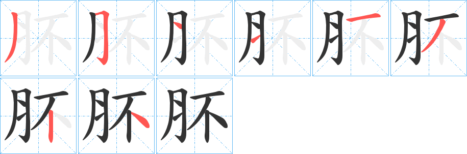 肧字的笔画顺序