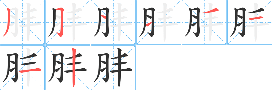 肨字的笔画顺序