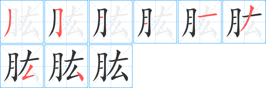 肱字的笔画顺序