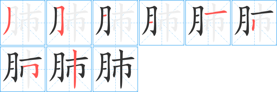 肺字的笔画顺序