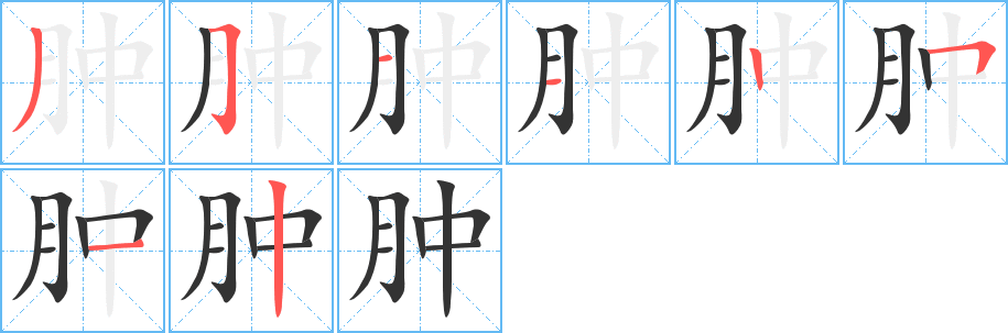 肿字的笔画顺序