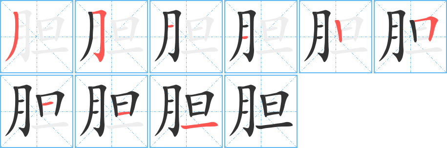 胆字的笔画顺序