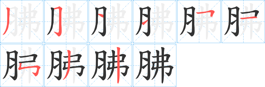 胇字的笔画顺序