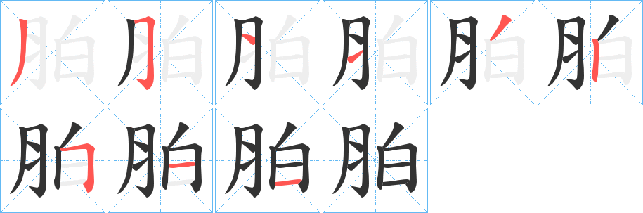 胉字的笔画顺序