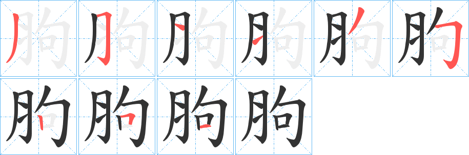 胊字的笔画顺序