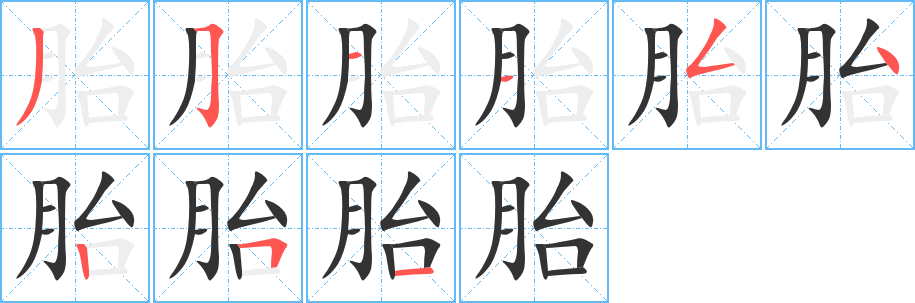 胎字的笔画顺序