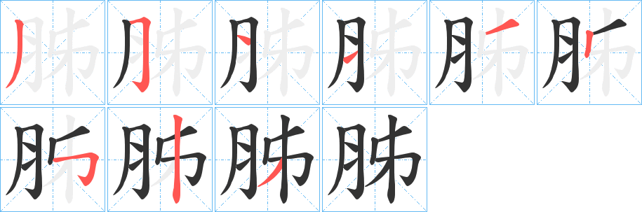 胏字的笔画顺序
