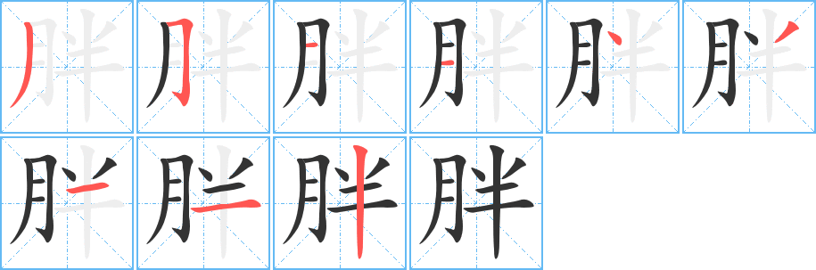 胖字的笔画顺序