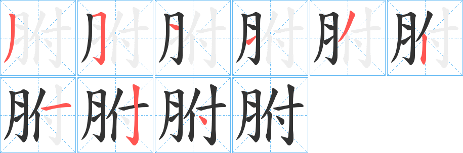 胕字的笔画顺序