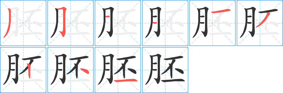 胚字的笔画顺序